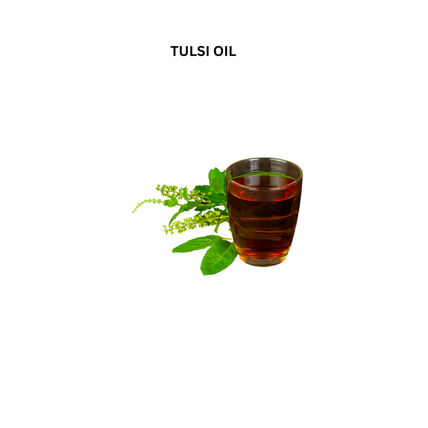 Songara Tulsi Oil - Dista