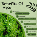 Thumbnail for Songara Methi Powder - Dista