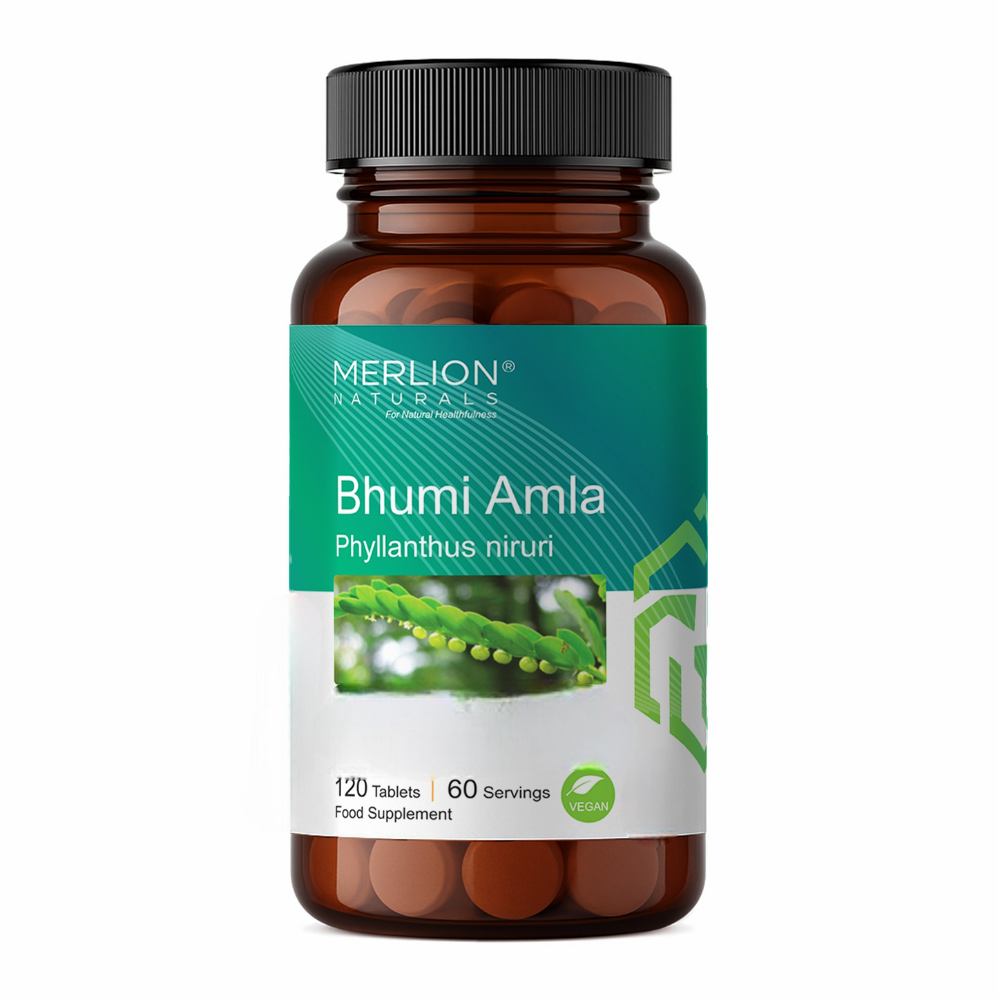 Merlion Naturals Bhumi Amla 500mg Tablets