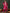 Sangria Pink Floral Embroidered Thread Work Pure Cotton Kurta & Trousers & Dupatta