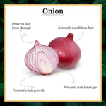 Thumbnail for Dravida Organics Red Onion Black Seed Oil Hair Conditioner - Dista