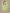 Jyoti Fashion Women's Light Green Rayon Embroidered Kurta Pant Set - Distacart