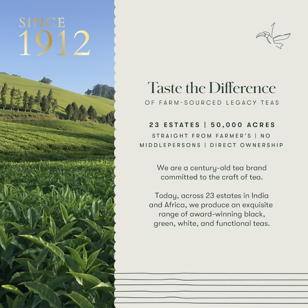 Luxmi Estates Tokyo Green Blend Green Tea - Dista