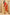 Exclusive Collection Red Light Yellow Beautiful Super Soft Most Comfortable Pure Mul Cotton Saree
