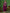 Sangria Floral Embroidered A-Line Kurta & Trousers With Dupatta