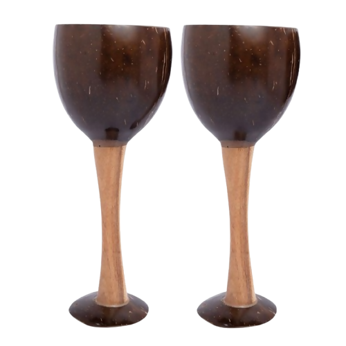 Thenga Coconut Shell & Wooden Wine Glasses - Dista