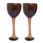 Thumbnail for Thenga Coconut Shell & Wooden Wine Glasses - Dista