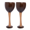 Thenga Coconut Shell & Wooden Wine Glasses - Dista