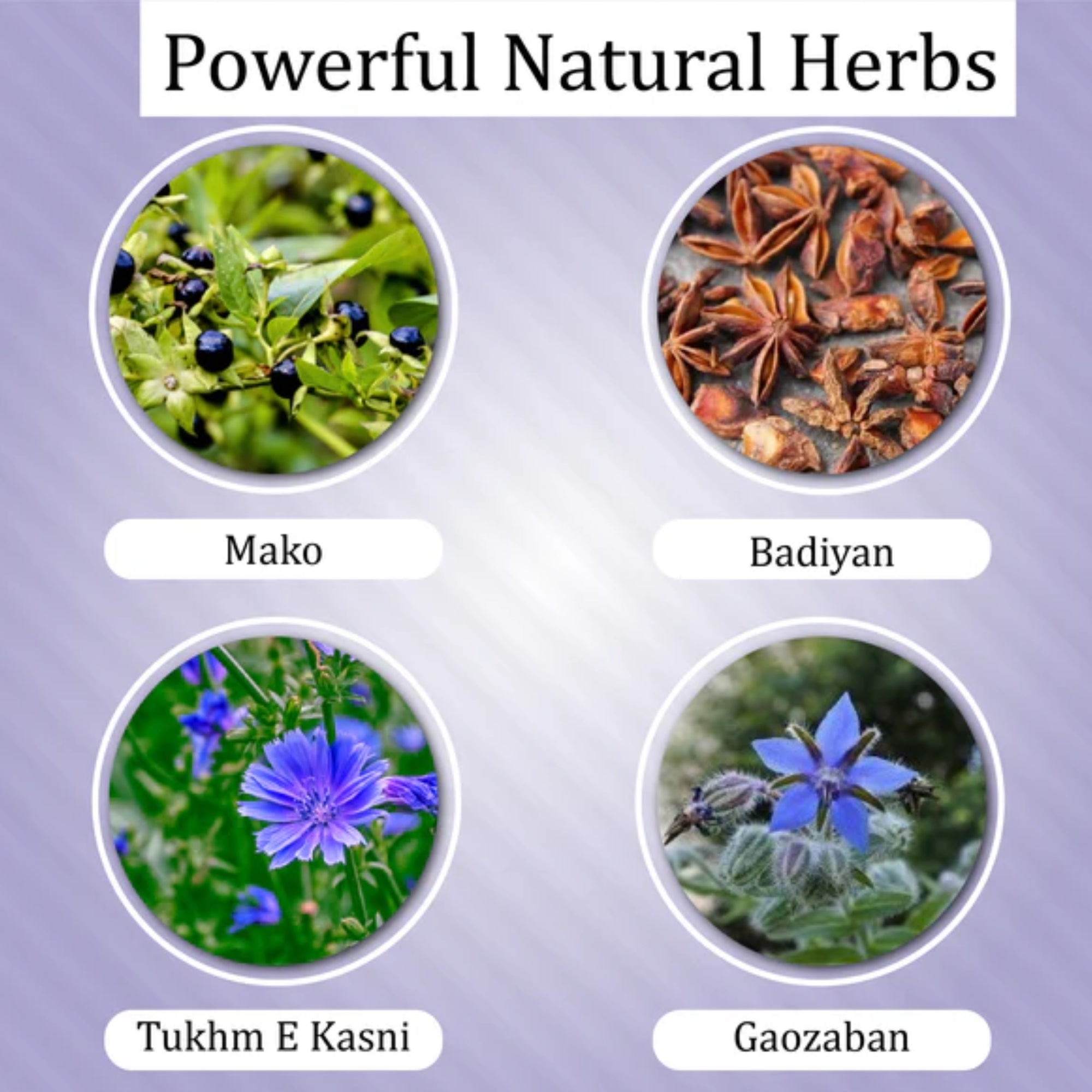 Cipzer Arq Chahram - Distacart