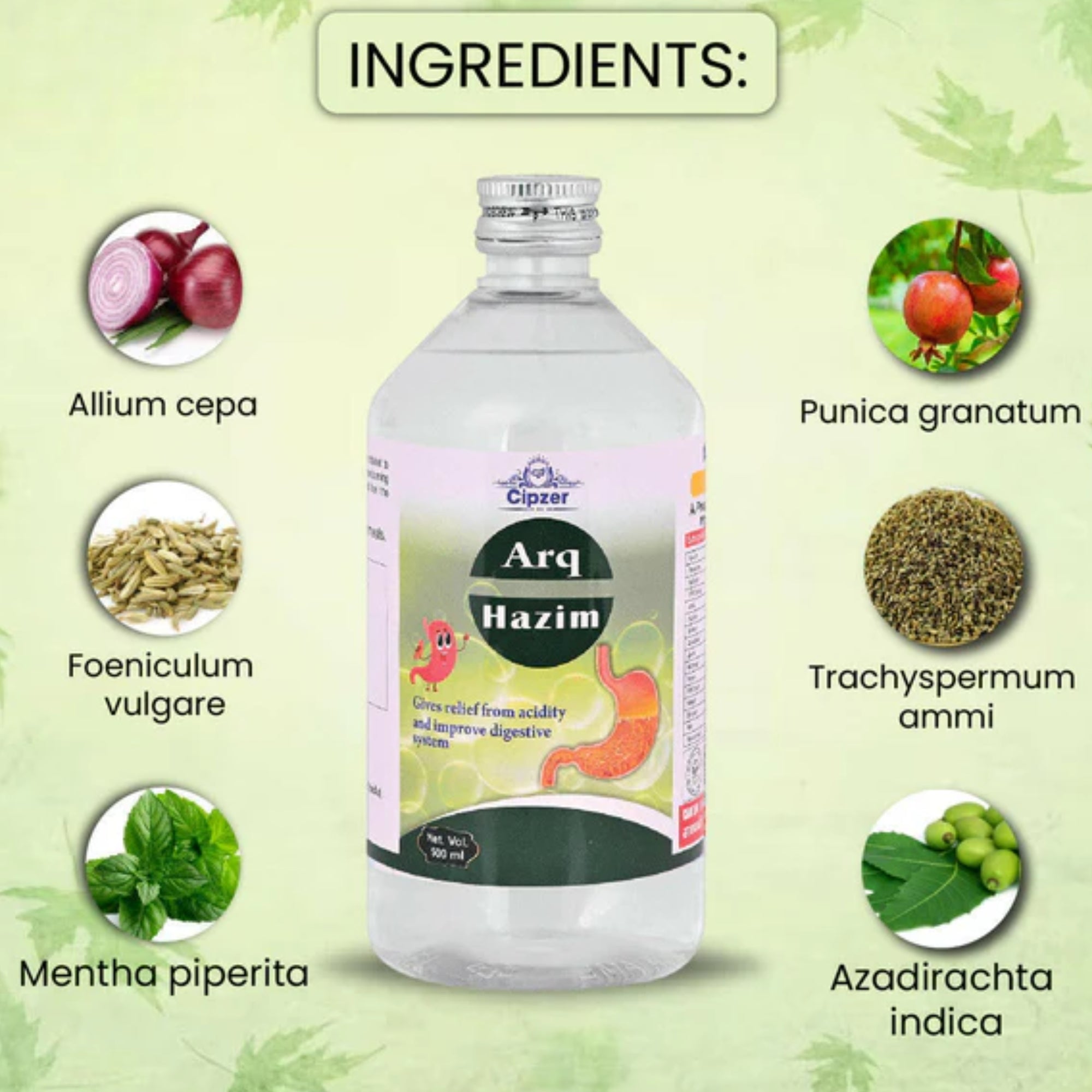 Cipzer Arq Hazim - Distacart