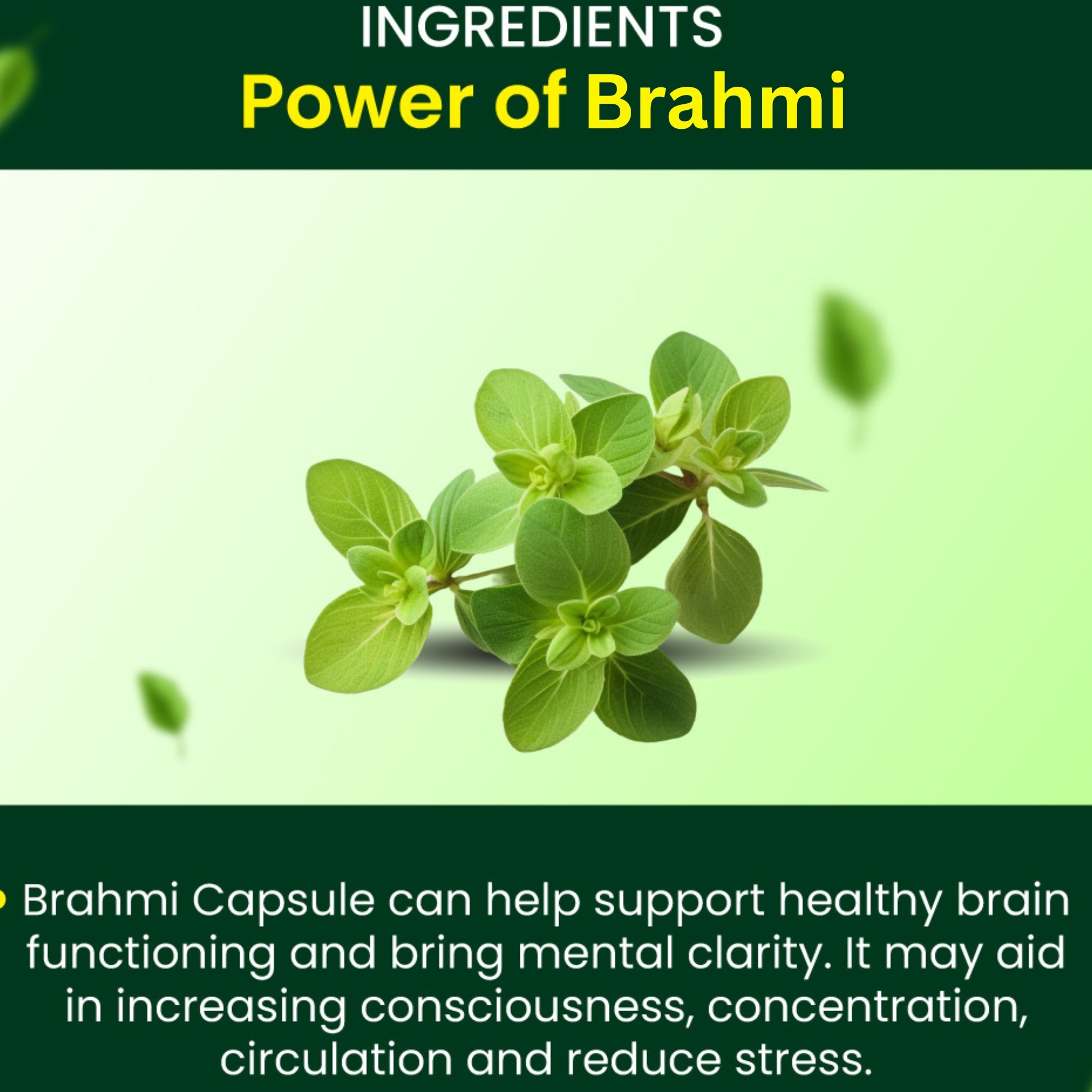 Cipzer Brahmi Capsules - Distacart