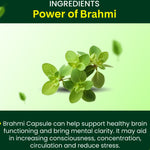 Thumbnail for Cipzer Brahmi Capsules - Distacart