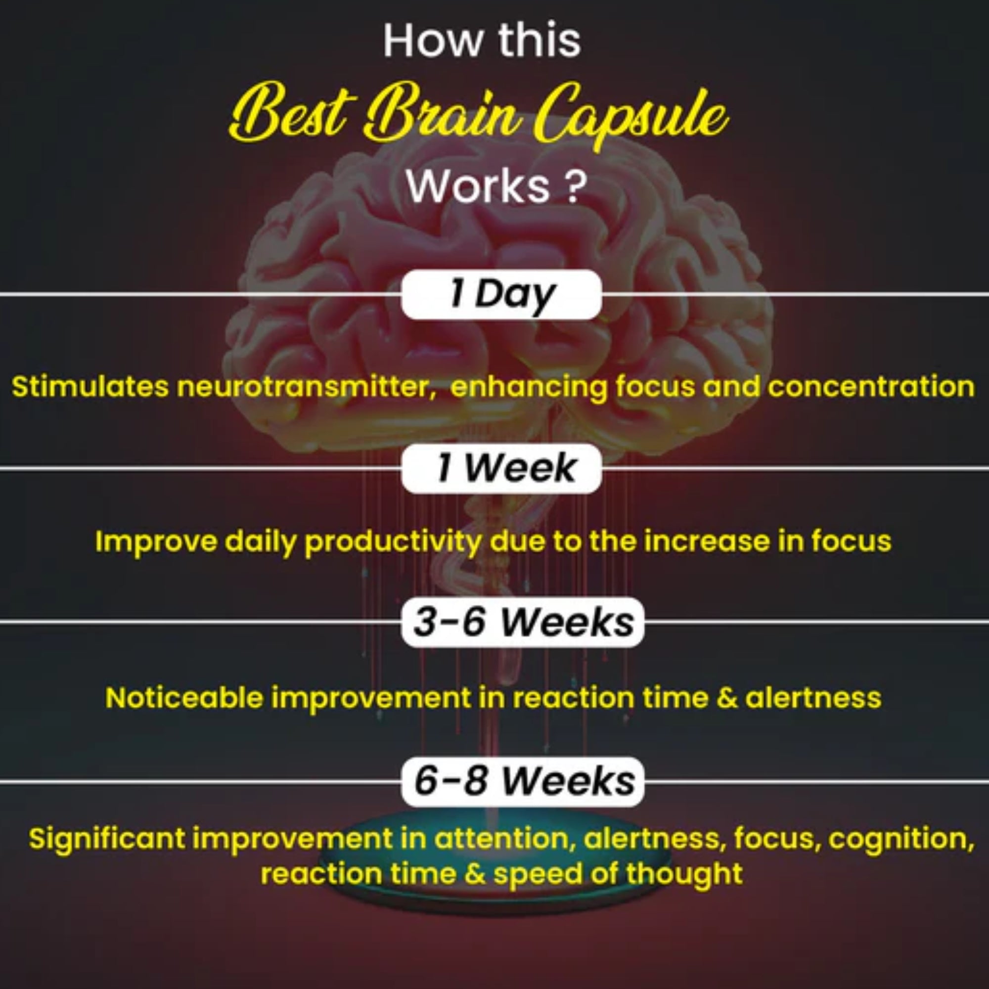 Cipzer Best Brain Capsules - Distacart