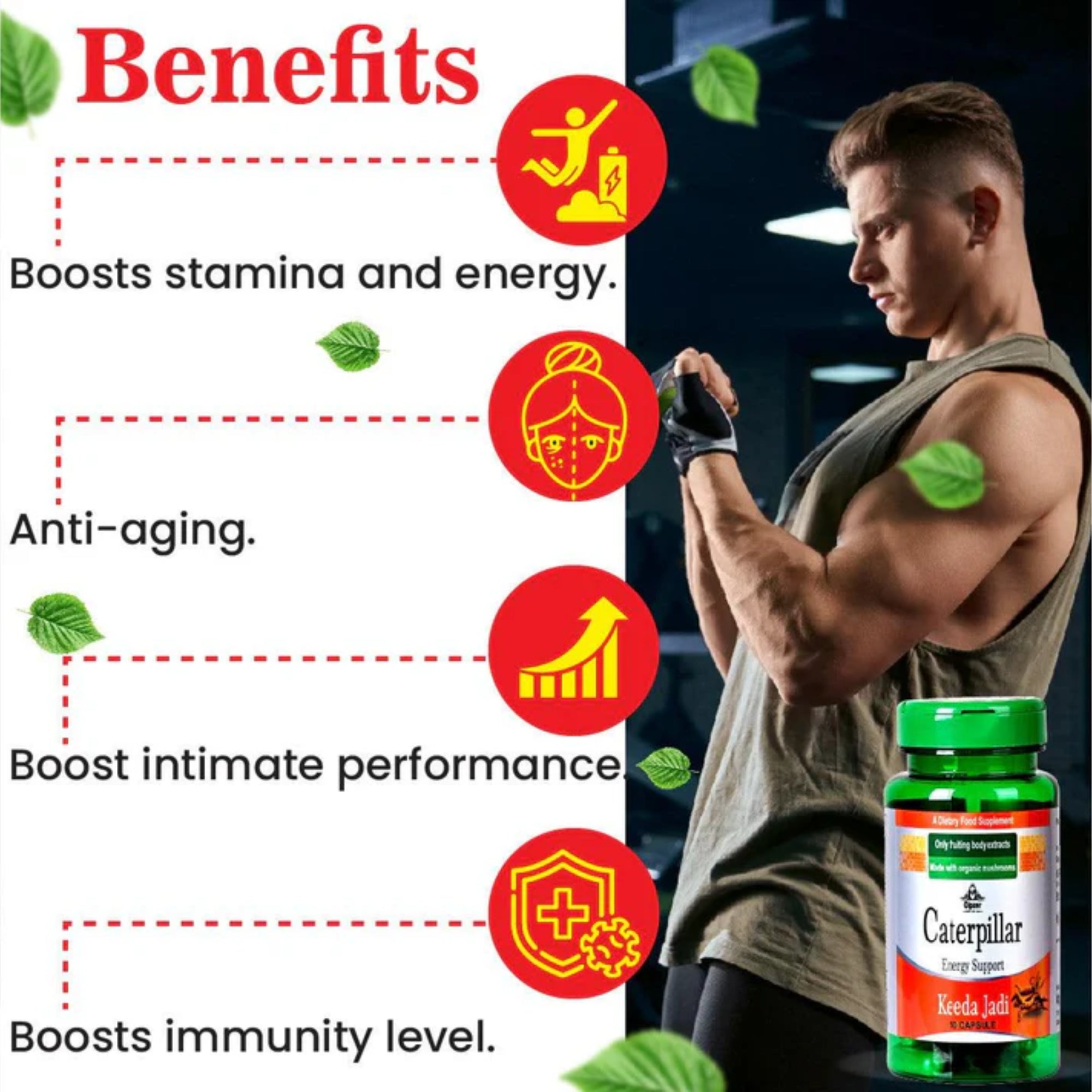 Cipzer Caterpillar Keeda Jadi Capsules