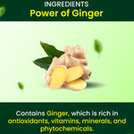 Thumbnail for Cipzer Ginger Capsules - Distacart