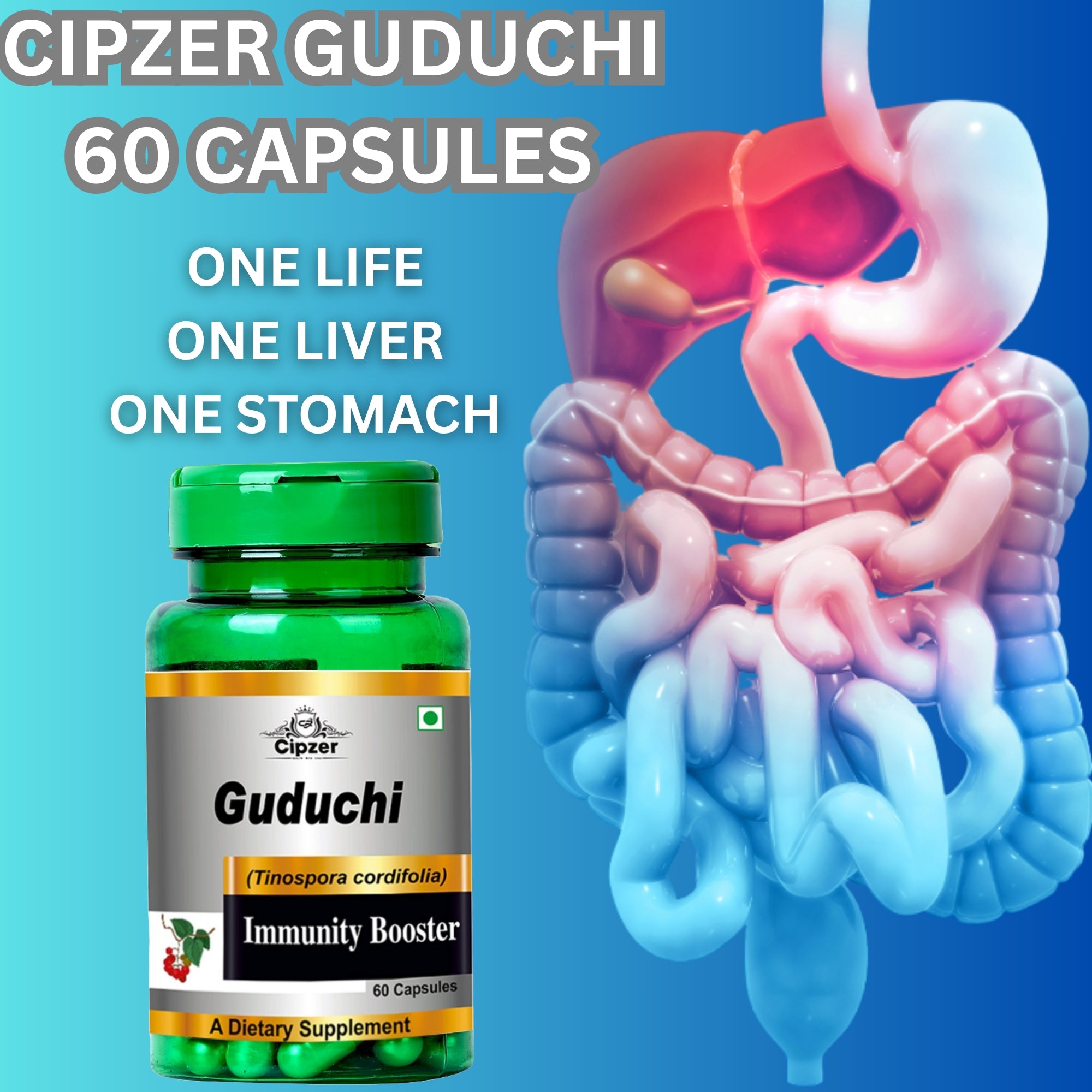 Cipzer Guduchi Capsules - Distacart