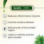 Thumbnail for Cipzer Halwa Gheekawar