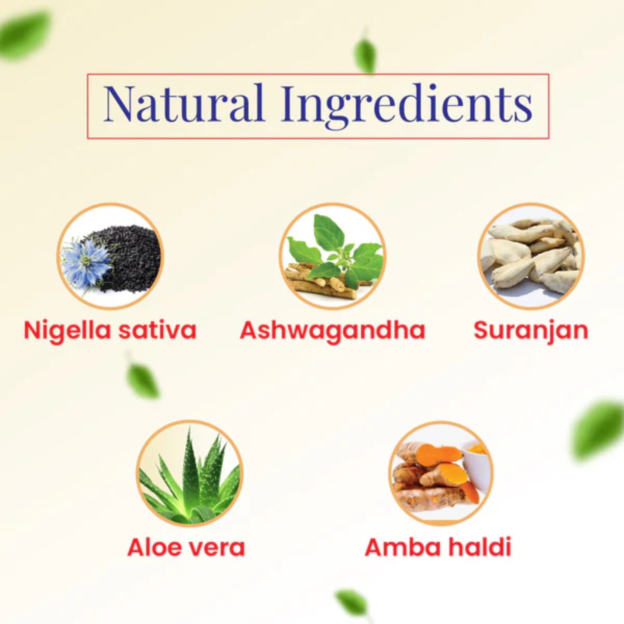 Cipzer Halwa Gheekawar