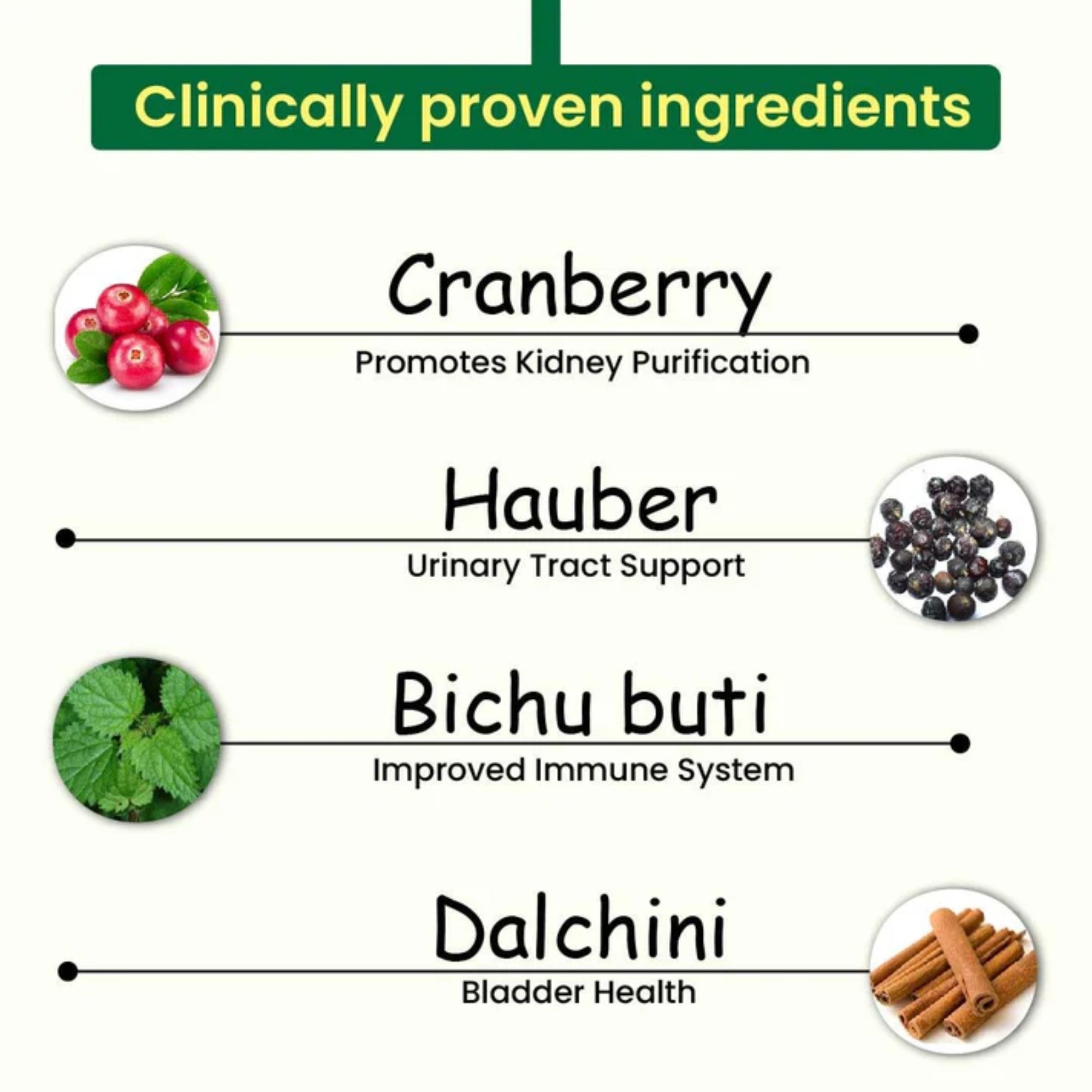 Cipzer Kidney Wellness Capsules