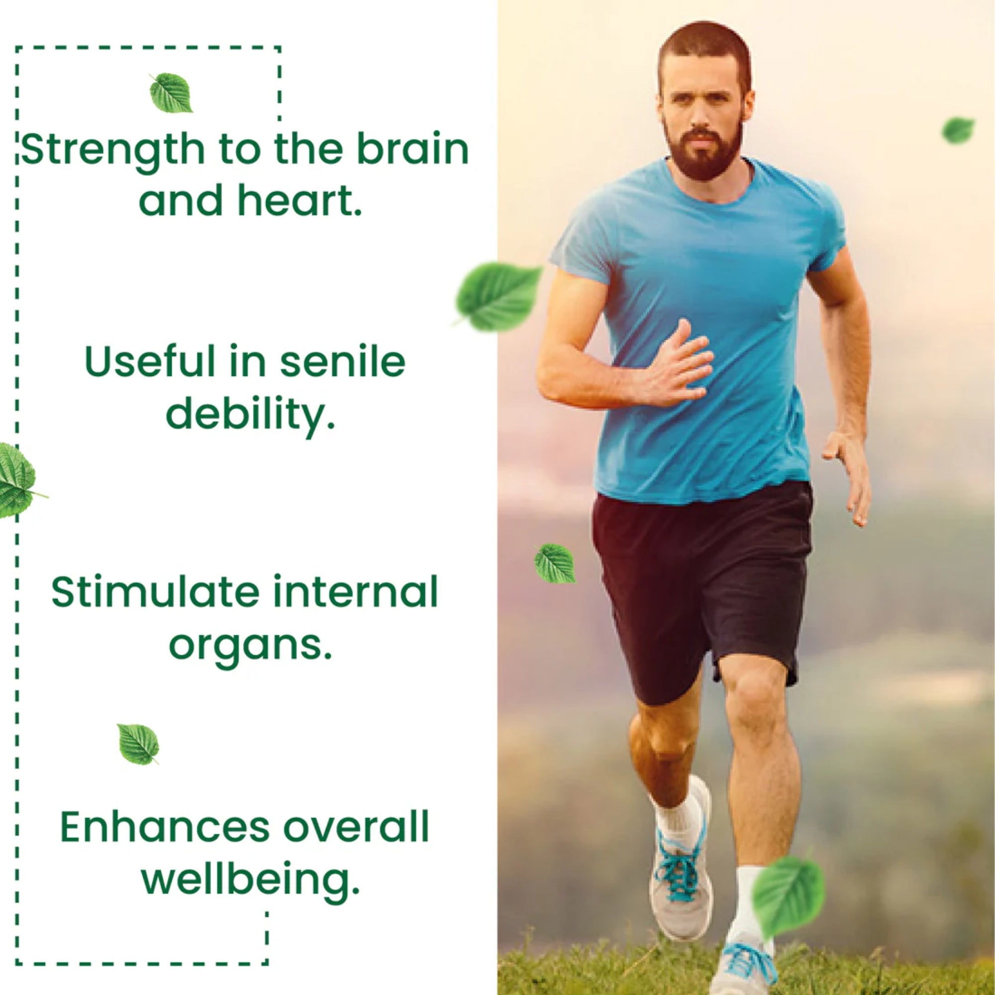 Cipzer Khamira Abresham Hakim Arshad Wala