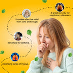 Thumbnail for Cipzer Laooq-E-Katan