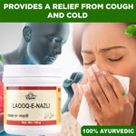 Thumbnail for Cipzer Laooq-E-Nazli