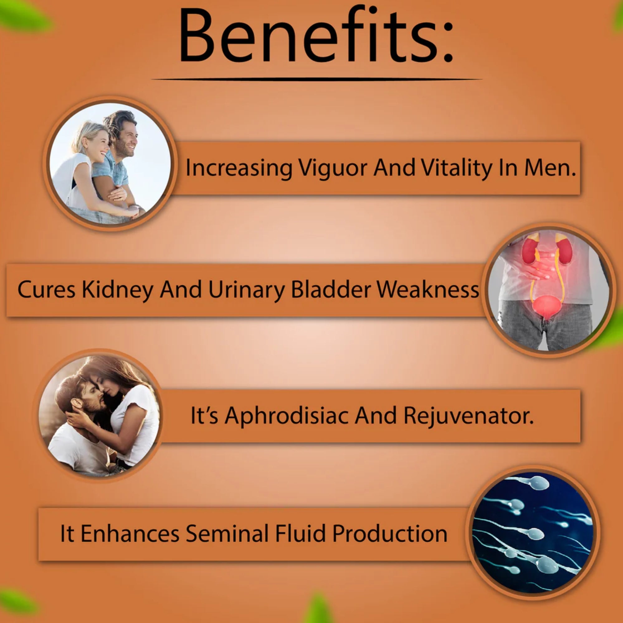 Cipzer Luboob Sagheer