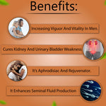 Thumbnail for Cipzer Luboob Sagheer