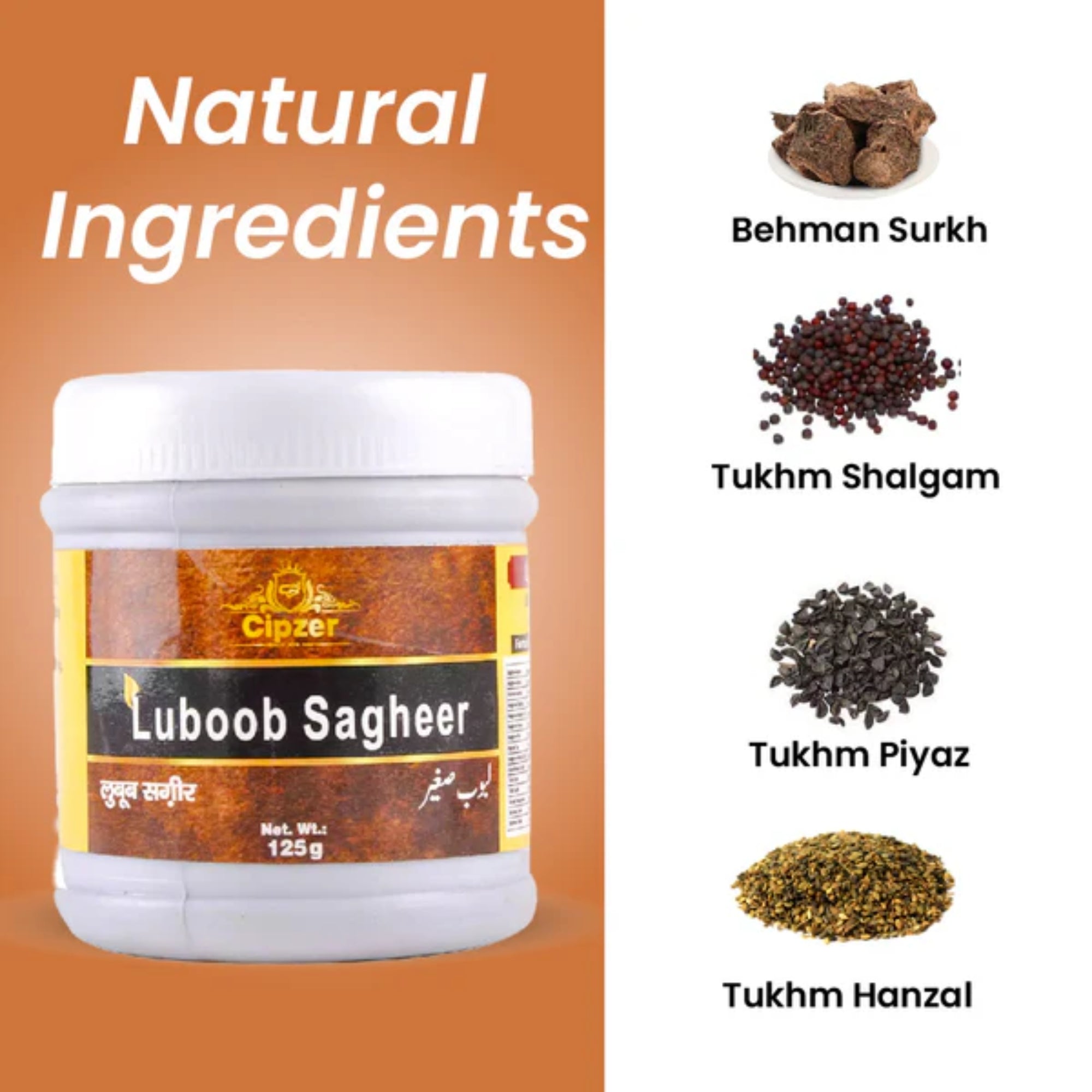 Cipzer Luboob Sagheer