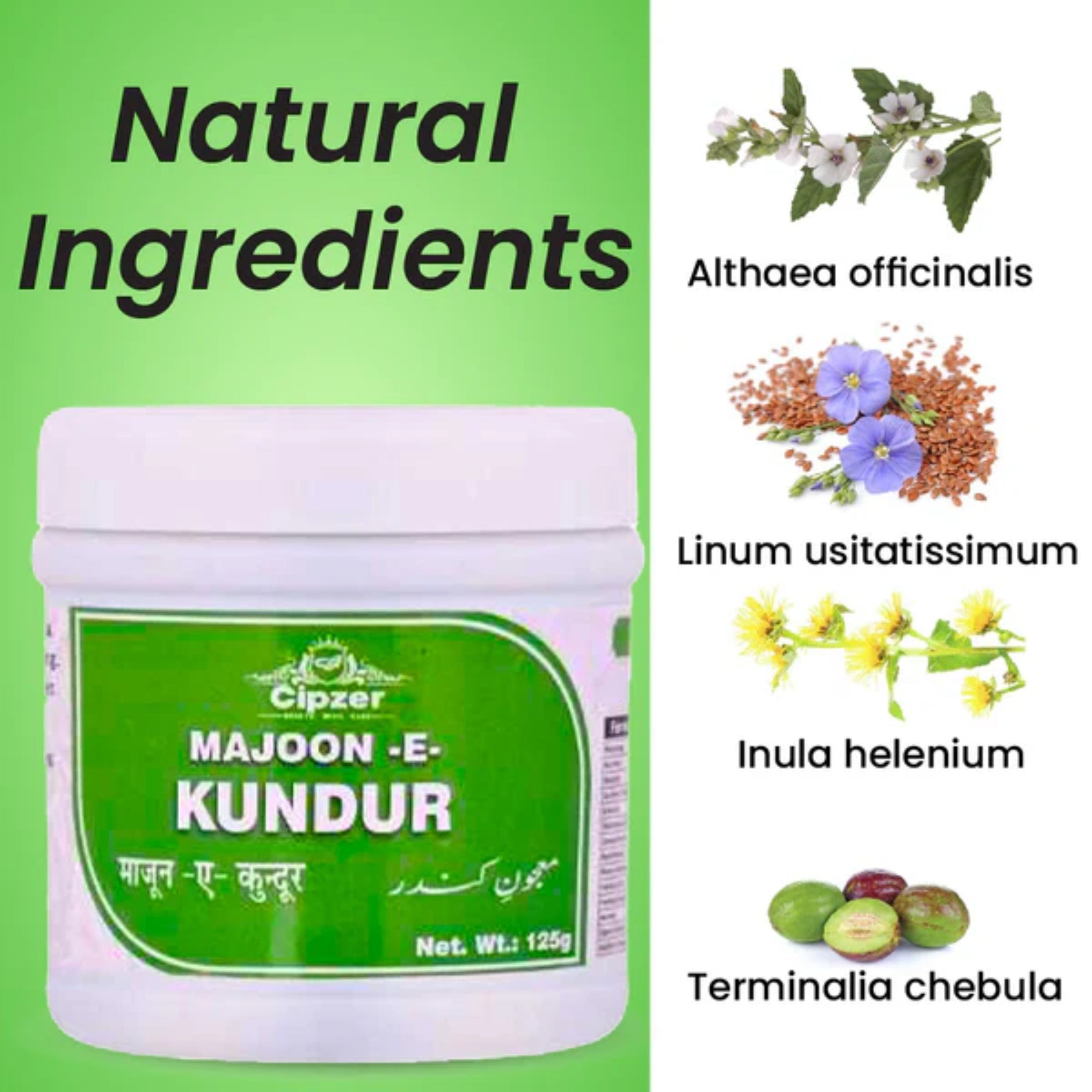 Cipzer Majoon-E-Kundur