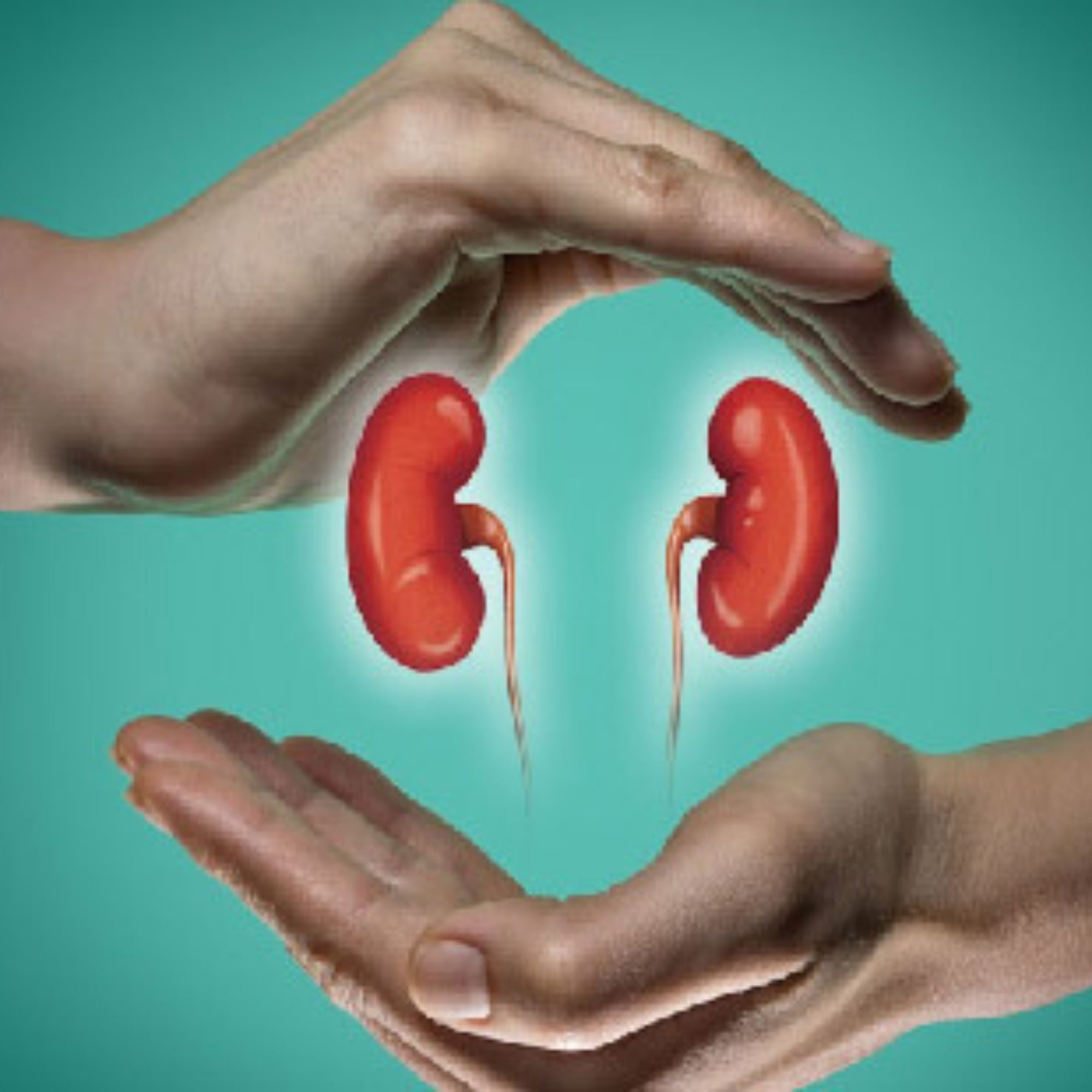 Cipzer Majoon -E-Masik-ul-Baul