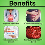 Thumbnail for Cipzer Majoon-E-Ushba