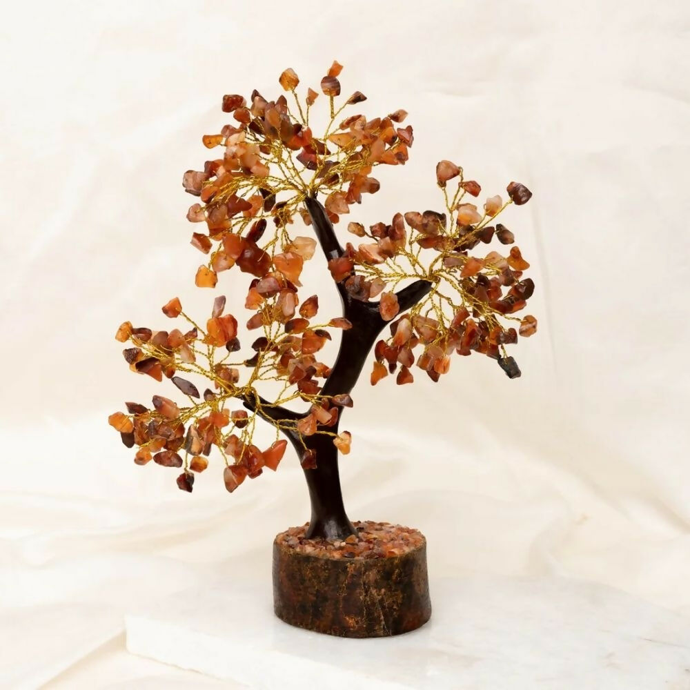 B 300TREE CA