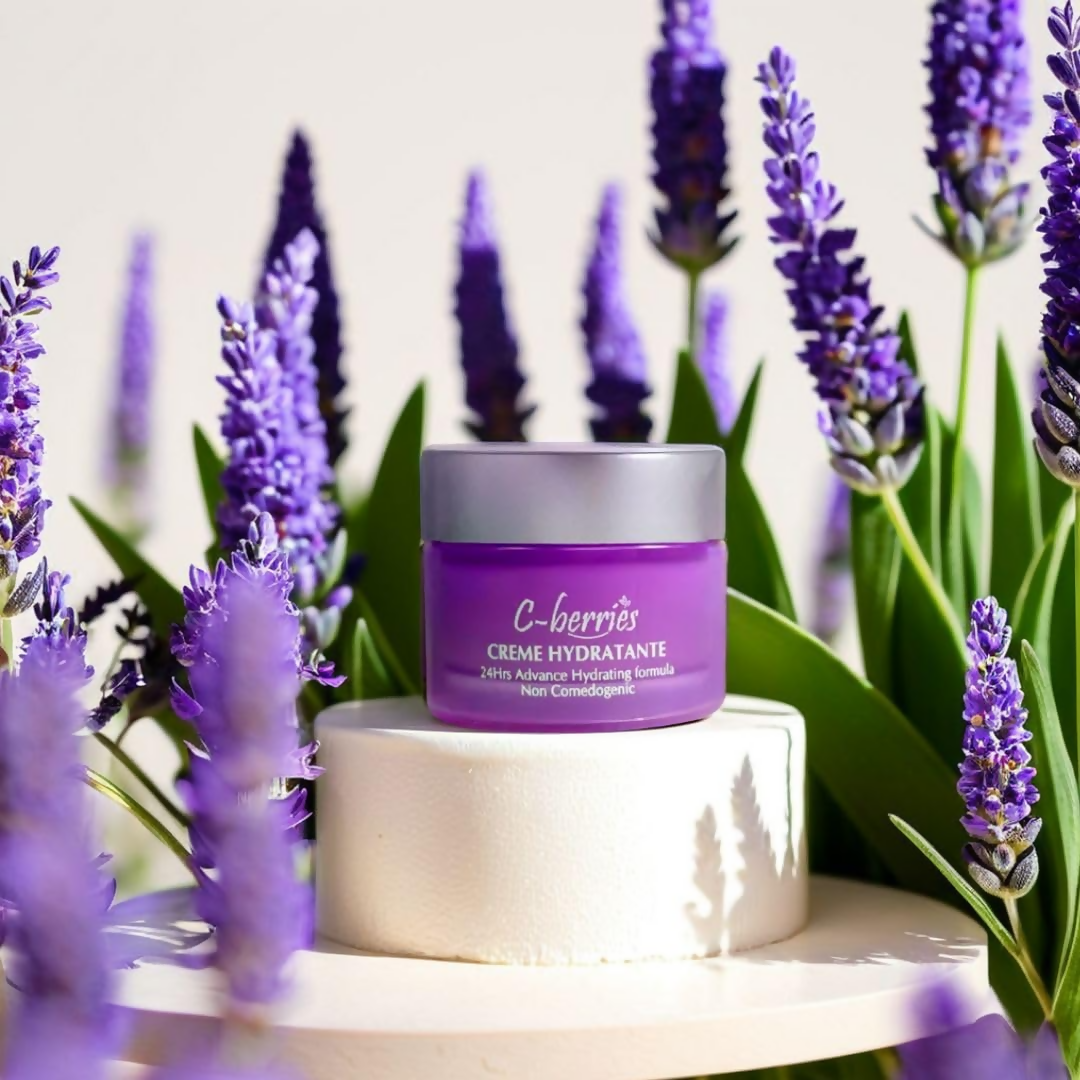 download - 2024-11-19T185456.176