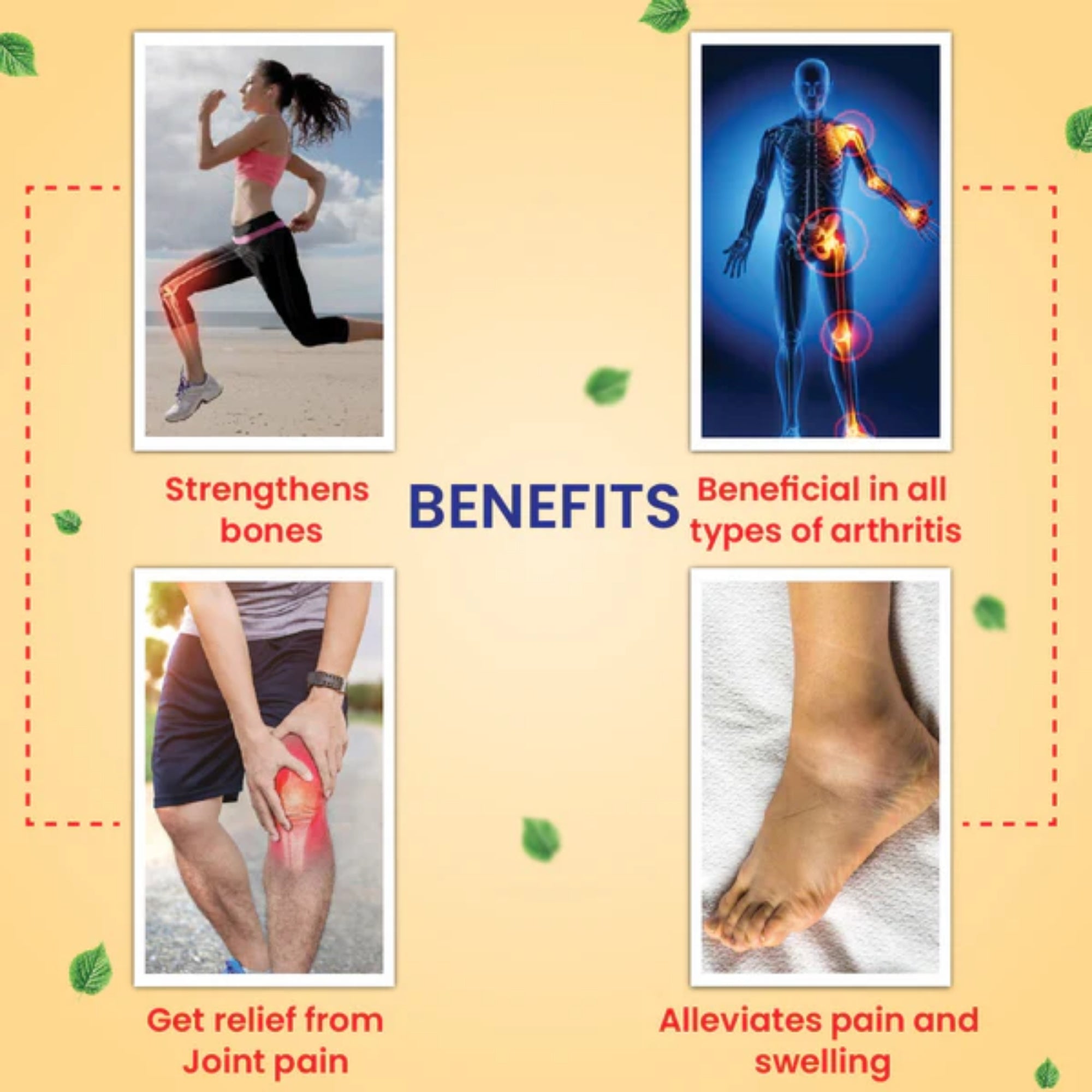 Cipzer Raughan-E-Babuna Sada