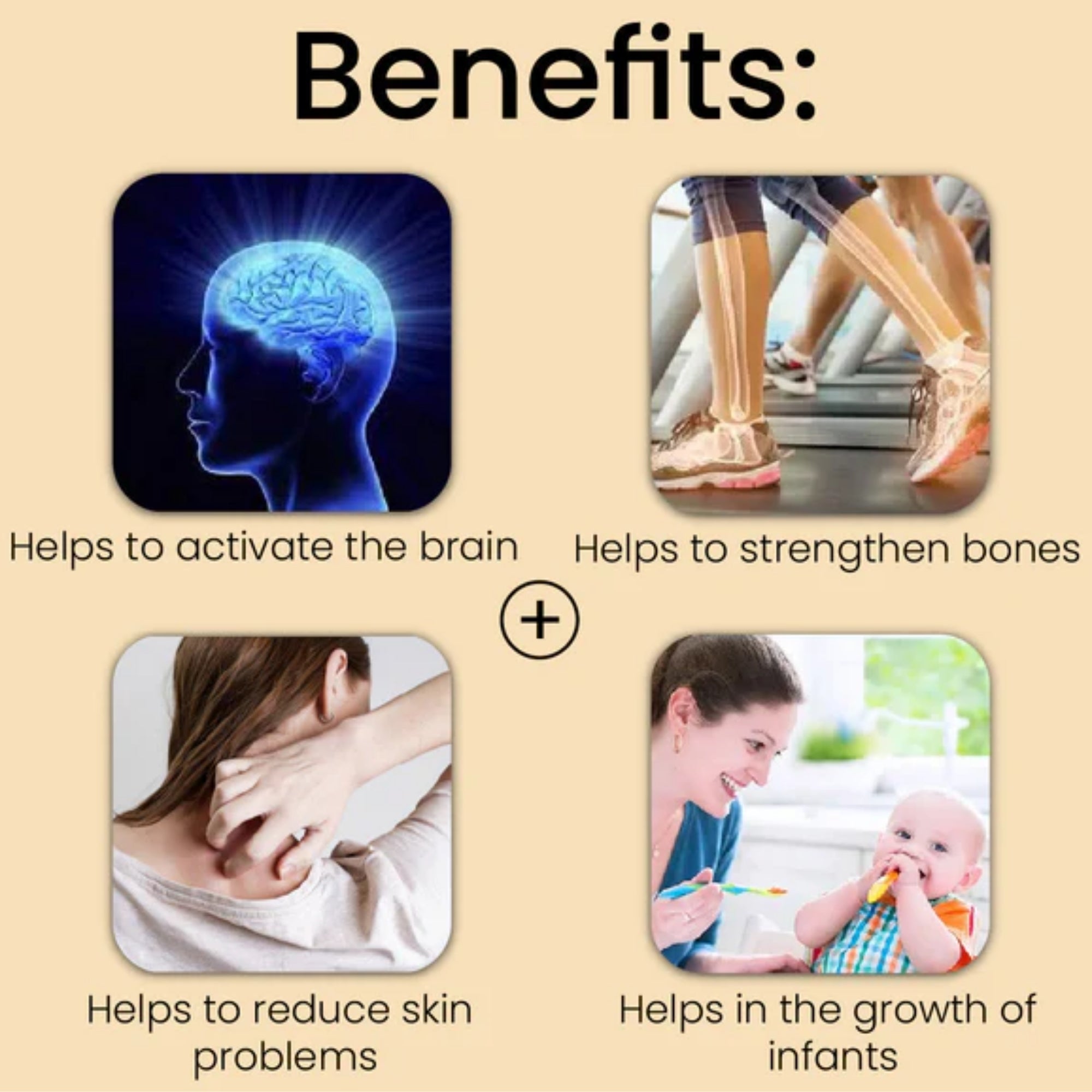 Cipzer Raughan-e-Zaitoon