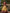 Evanik Women South-Style Kanchipuram Silk Stitched Lehenga With Unstitched Blouse & Dupatta