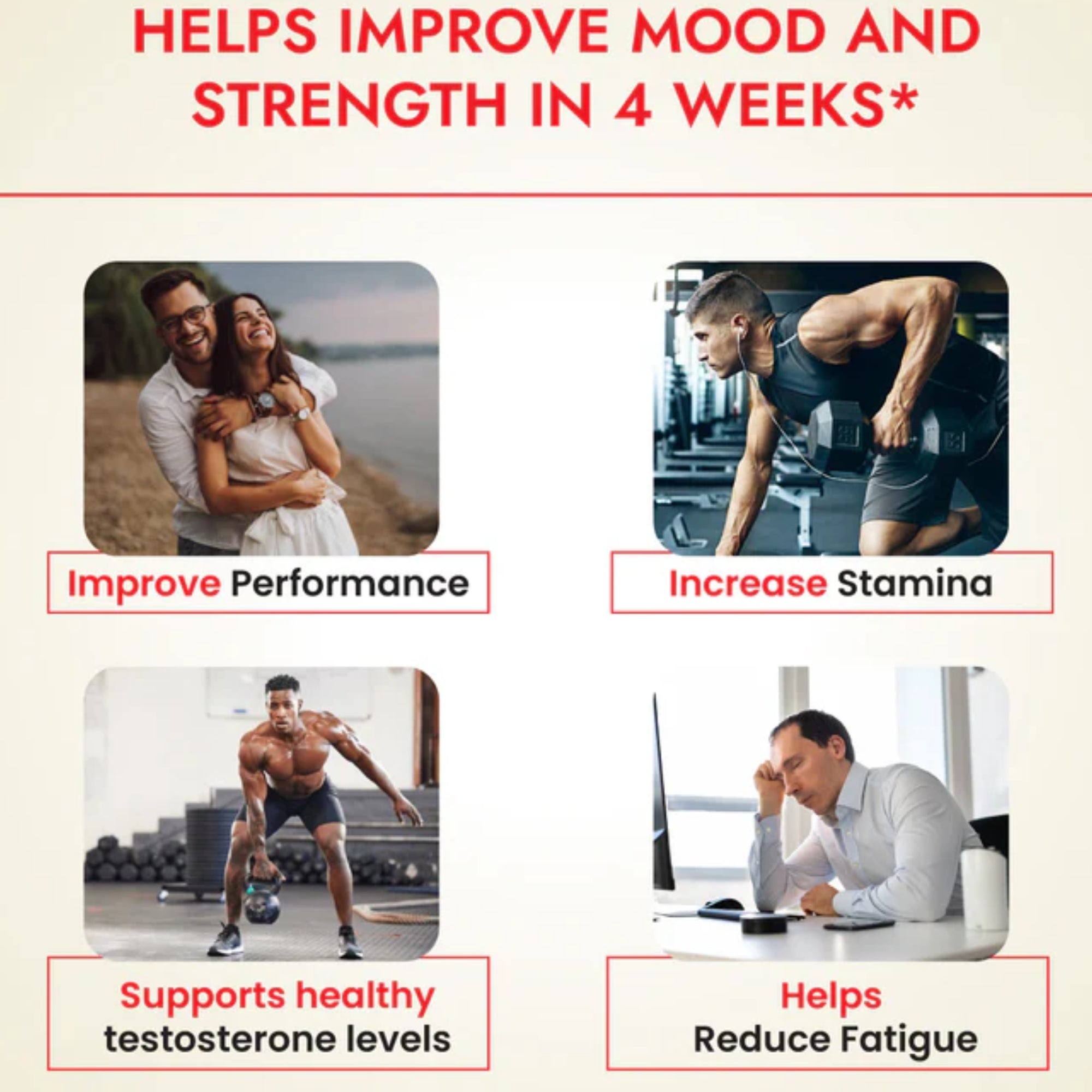 Cipzer Royal Black Gold SJ