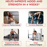 Thumbnail for Cipzer Royal Black Gold SJ