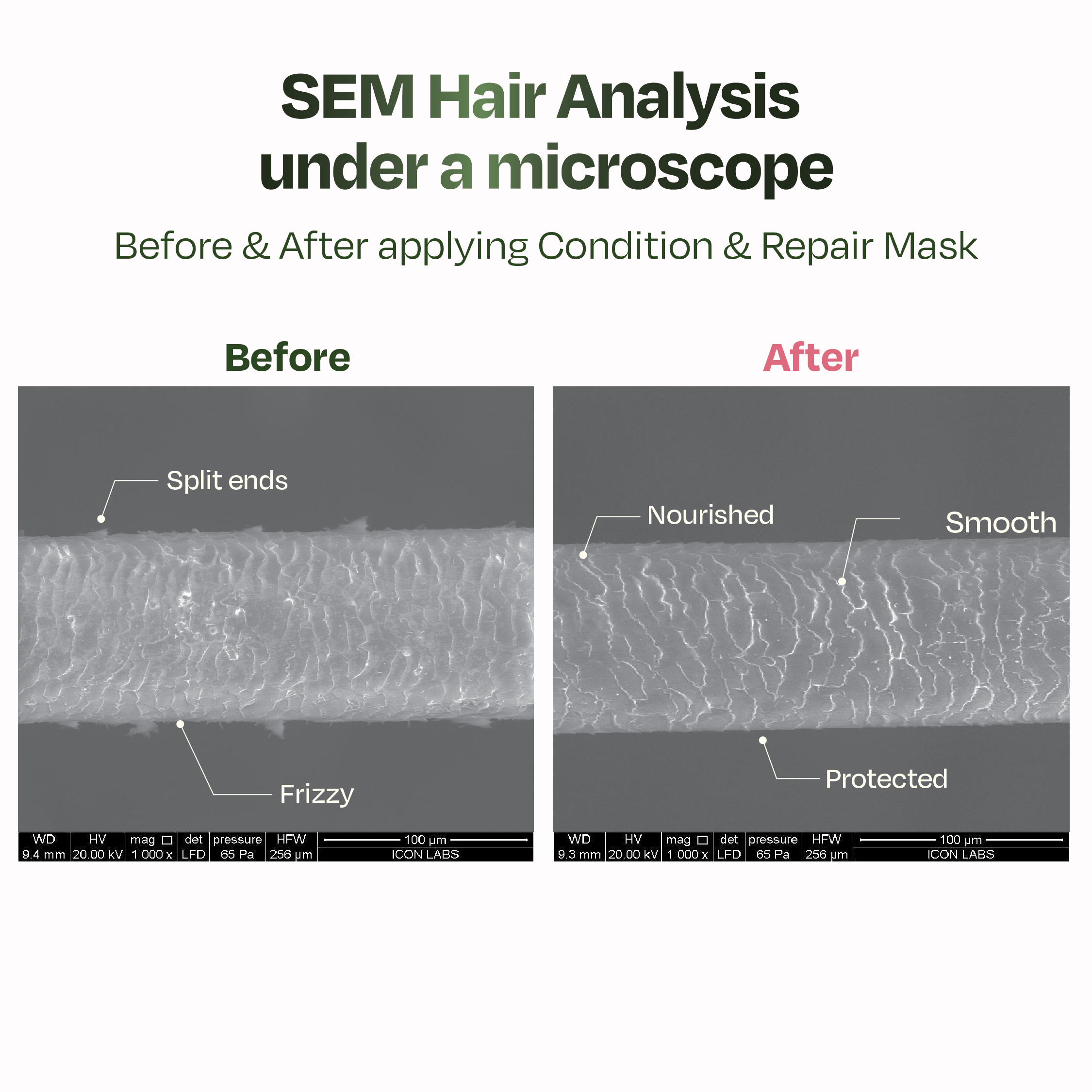 Sacred Grove Marshmallow Root Condition & Repair Hair Mask