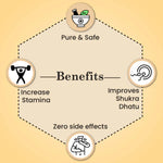 Thumbnail for Cipzer Safoof Aslussoos