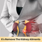 Thumbnail for Cipzer Sharbat Bazoori Motadil