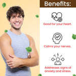 Thumbnail for Cipzer Sharbat Ahmed Shahi