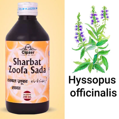 Cipzer Sharbat Zoofa Sada - Distacart