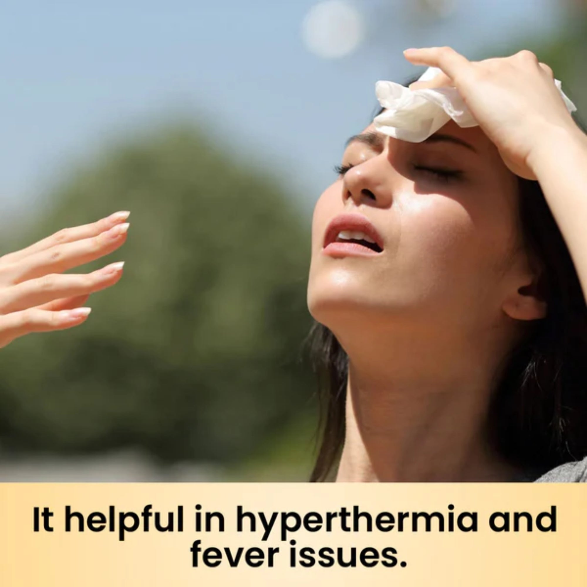 Cipzer Sikanjabeen Lemuni