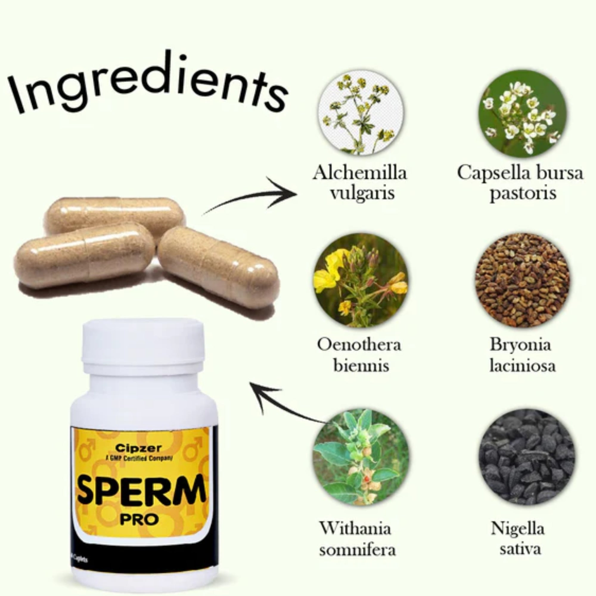 Cipzer Sperm Pro Caplets