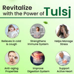 Thumbnail for Cipzer Tulsi Capsules - Distacart