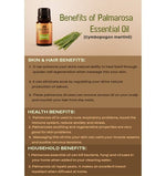 Thumbnail for Ancient Living Palmarosa Essential Oil - Distacart