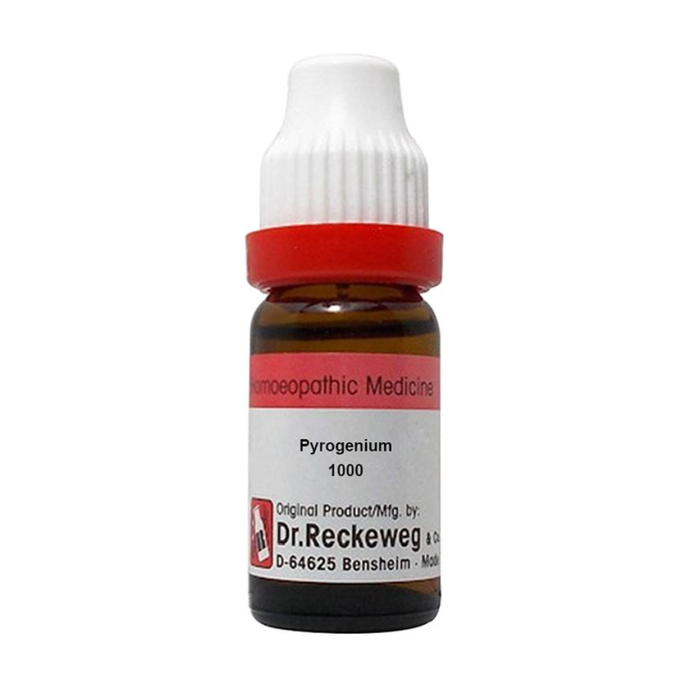 Dr. Reckeweg Pyrogenium Dilution - Distacart