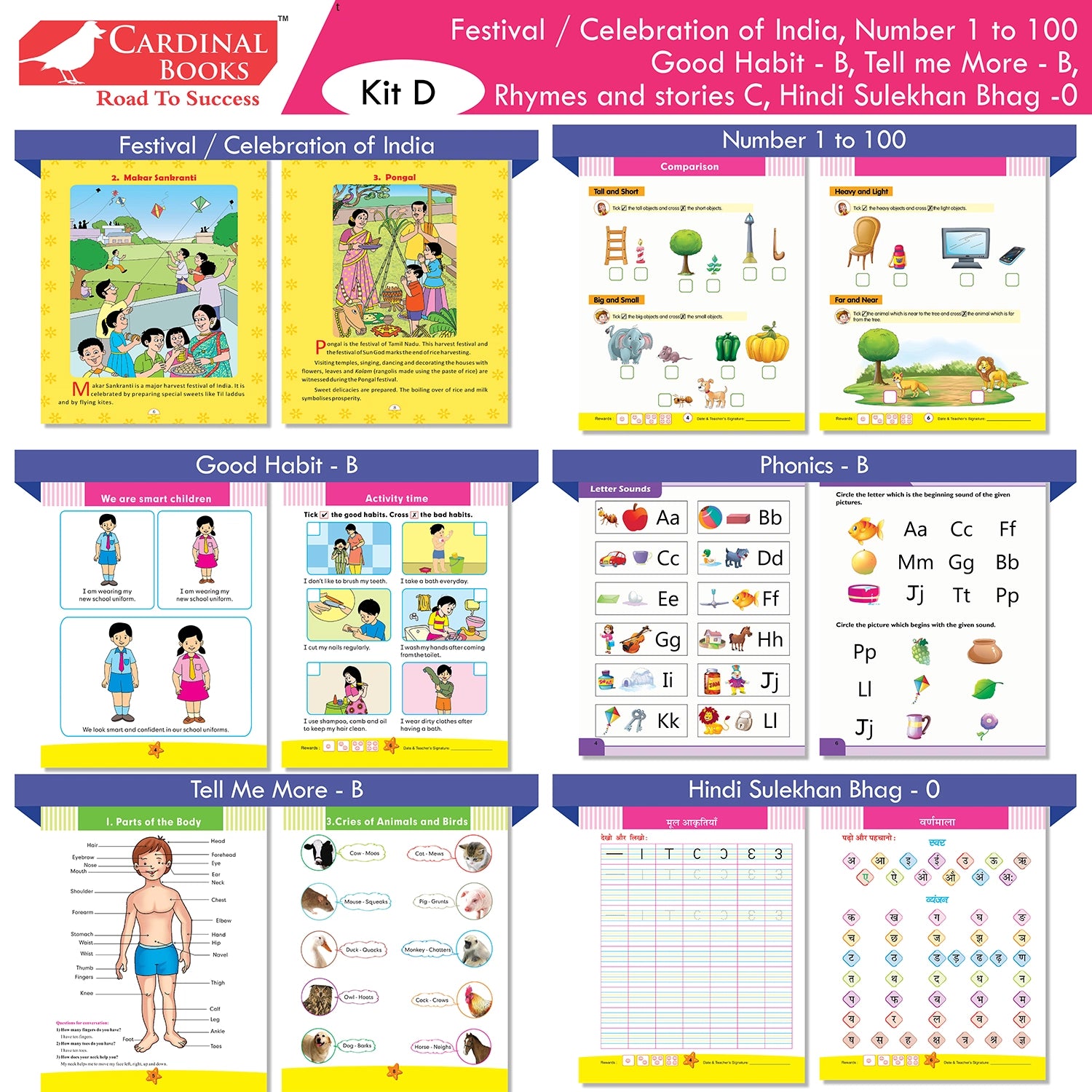 Cardinal Books Preschool Learning Senior KG (UKG) Kit D Set of 16| Cursive Alphabet| Number|Rhymes and Stories| Phonic|Ages 5-6 Years +